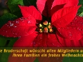 sonstiges