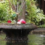 IMG_4273 (800x533)