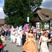 bild15