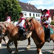 bild19