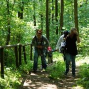 vorstandsfeier-2011-009